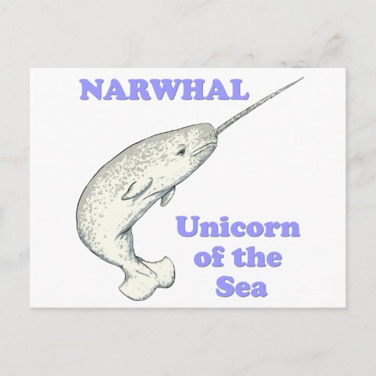 Carte Postale Unicorne Narwhal de la mer (Devant)