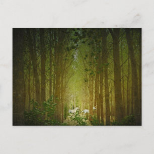 Carte Postale Unicornes