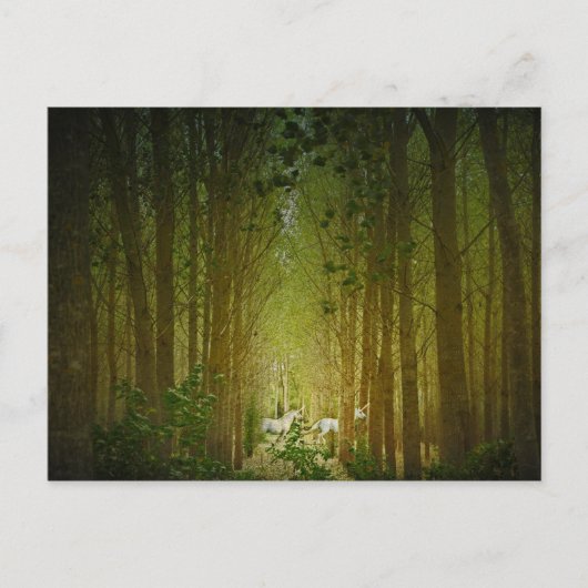 Carte Postale Unicornes (Devant)