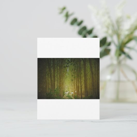 Carte Postale Unicornes (Debout devant)