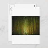 Carte Postale Unicornes (Devant / Derrière)