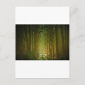 Carte Postale Unicornes (Devant)