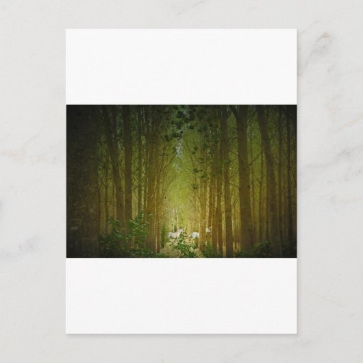 Carte Postale Unicornes (Devant)