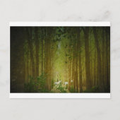 Carte Postale Unicornes (Devant)