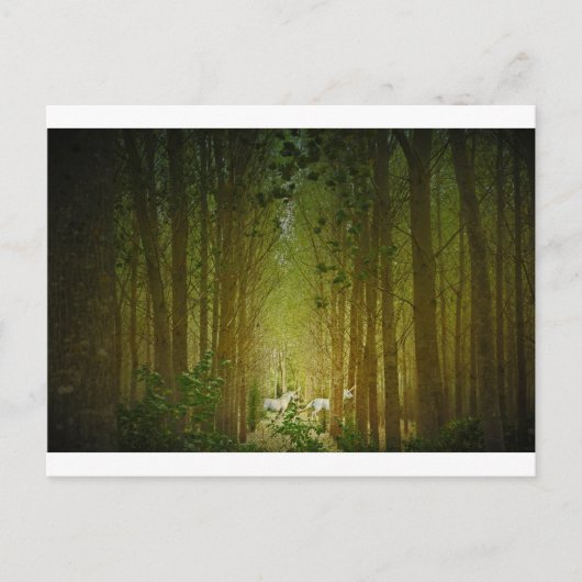 Carte Postale Unicornes (Devant)