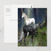 Carte Postale Unicornes (Devant / Derrière)