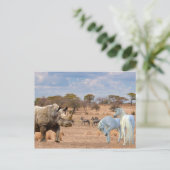 Carte Postale Unicorns Cubby Rhino Rhinoceros Afrique (Debout devant)