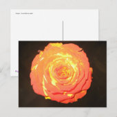 Carte Postale Unique - A Rose Like No Other - Subtle Love (Devant / Derrière)