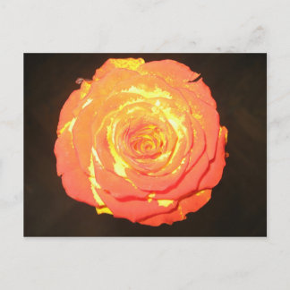 Carte Postale Unique - A Rose Like No Other - Subtle Love