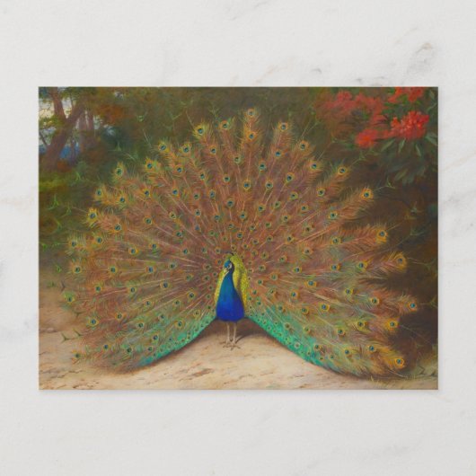 Carte postale unique de paon (Devant)