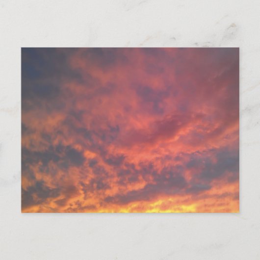 Carte Postale Université City (Devant)