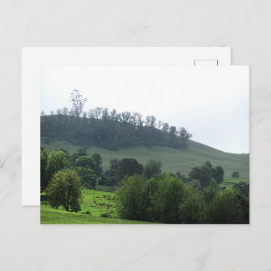 Carte postale Upcountry (Devant / Derrière)