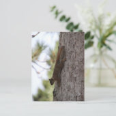Carte postale Updown Squirrel (Debout devant)