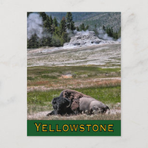 Carte postale : Upper Geyser Basin Sentinel