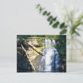 Carte Postale Upper North Falls, Silver Falls, Oregon (Debout devant)