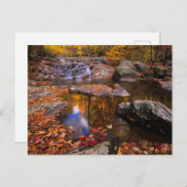 Carte Postale Upper Whiteoak Falls, Parc national de Shenandoah, (Devant / Derrière)