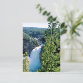 Carte Postale Upper Yellowstone Falls (Debout devant)