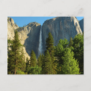 Carte Postale Upper Yosemite Falls, Merced river, Yosemite