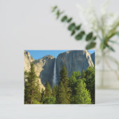 Carte Postale Upper Yosemite Falls, Merced river, Yosemite (Debout devant)