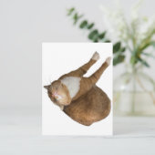 Carte Postale Upside-Down Sunshine (Debout devant)