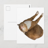 Carte Postale Upside-Down Sunshine (Devant / Derrière)