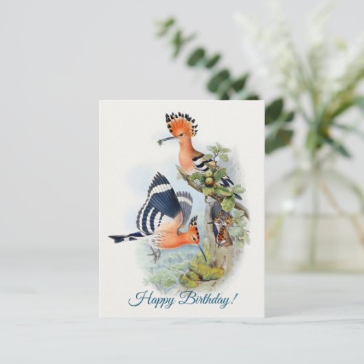 Carte Postale Upupa Epops (Debout devant)