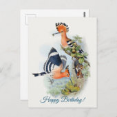 Carte Postale Upupa Epops (Devant / Derrière)