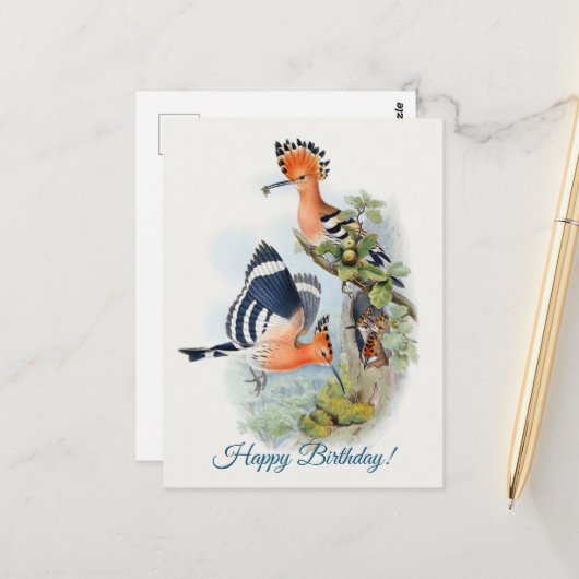 Carte Postale Upupa Epops (Devant/Arrière en situation)