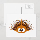 Carte Postale Urchin Mer Orange (Devant / Derrière)