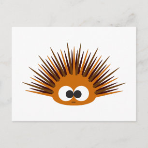 Carte Postale Urchin Mer Orange