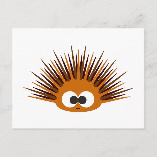 Carte Postale Urchin Mer Orange (Devant)