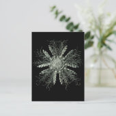 Carte Postale Urchine crayon d'ardoise (Debout devant)