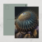 Carte Postale Urchine de Deep Sea (Devant / Derrière)