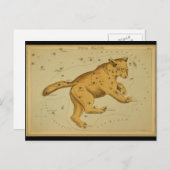 Carte Postale Ursa Major (Devant / Derrière)