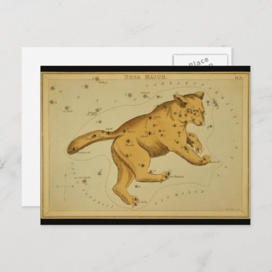 Carte Postale Ursa Major (Devant / Derrière)