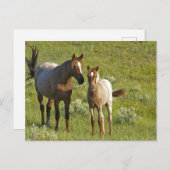 Carte Postale US35 CHA0209.jpg (Devant / Derrière)