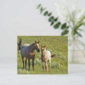 Carte Postale US35 CHA0209.jpg (Debout devant)