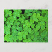 Carte Postale USA, Californie, Jedediah Smith Rewood SP. (Devant)