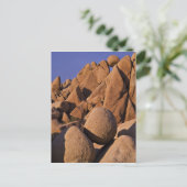 Carte Postale USA, Californie, Parc national de Joshua Tree. (Debout devant)