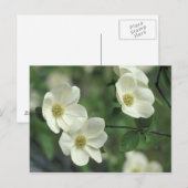 Carte Postale USA, Californie, Yosemite NP, le long de Merced (Devant / Derrière)