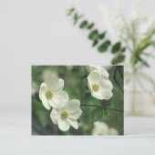 Carte Postale USA, Californie, Yosemite NP, le long de Merced (Debout devant)