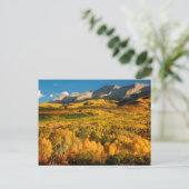 Carte Postale USA, Colorado, Gunnison National Forest (Debout devant)