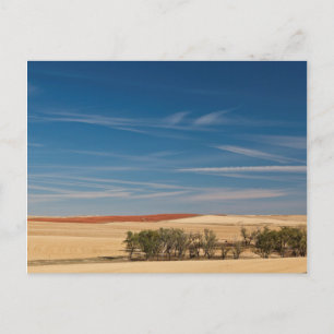 Carte Postale USA, Dakota du Sud, Murdo, Paysage des Prairies