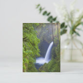 Carte Postale USA, Eagle Creek, Columbia Gorge, Oregon. (Debout devant)