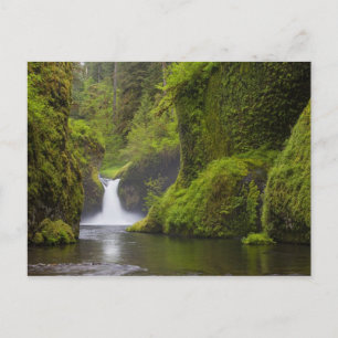Carte Postale USA, Eagle Creek, Columbia Gorge, Oregon. 3
