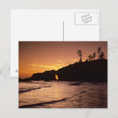 Carte Postale USA, Etat de Washington, Parc National Olympique.  (Devant / Derrière)