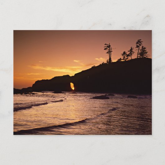 Carte Postale USA, Etat de Washington, Parc National Olympique.  (Devant)