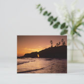 Carte Postale USA, Etat de Washington, Parc National Olympique.  (Debout devant)