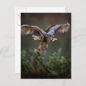 Carte Postale USA, Géorgie, Pine Mountain, Callaway Gardens. (Devant / Derrière)