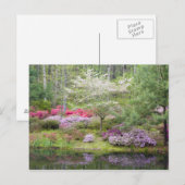 Carte Postale USA, Géorgie, Pine Mountain. Un mélange de (Devant / Derrière)